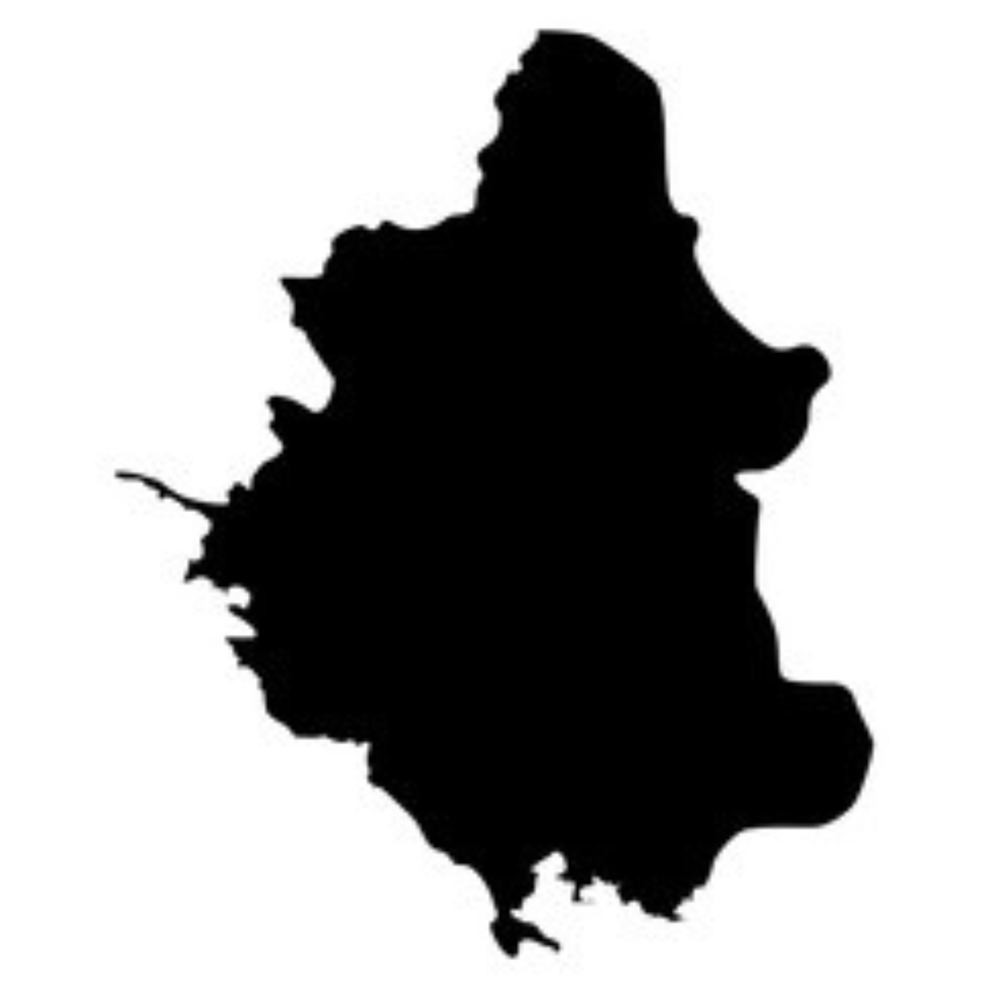 13_b52404ef-3e18-44b7-ae5c-19fd4b37e06d