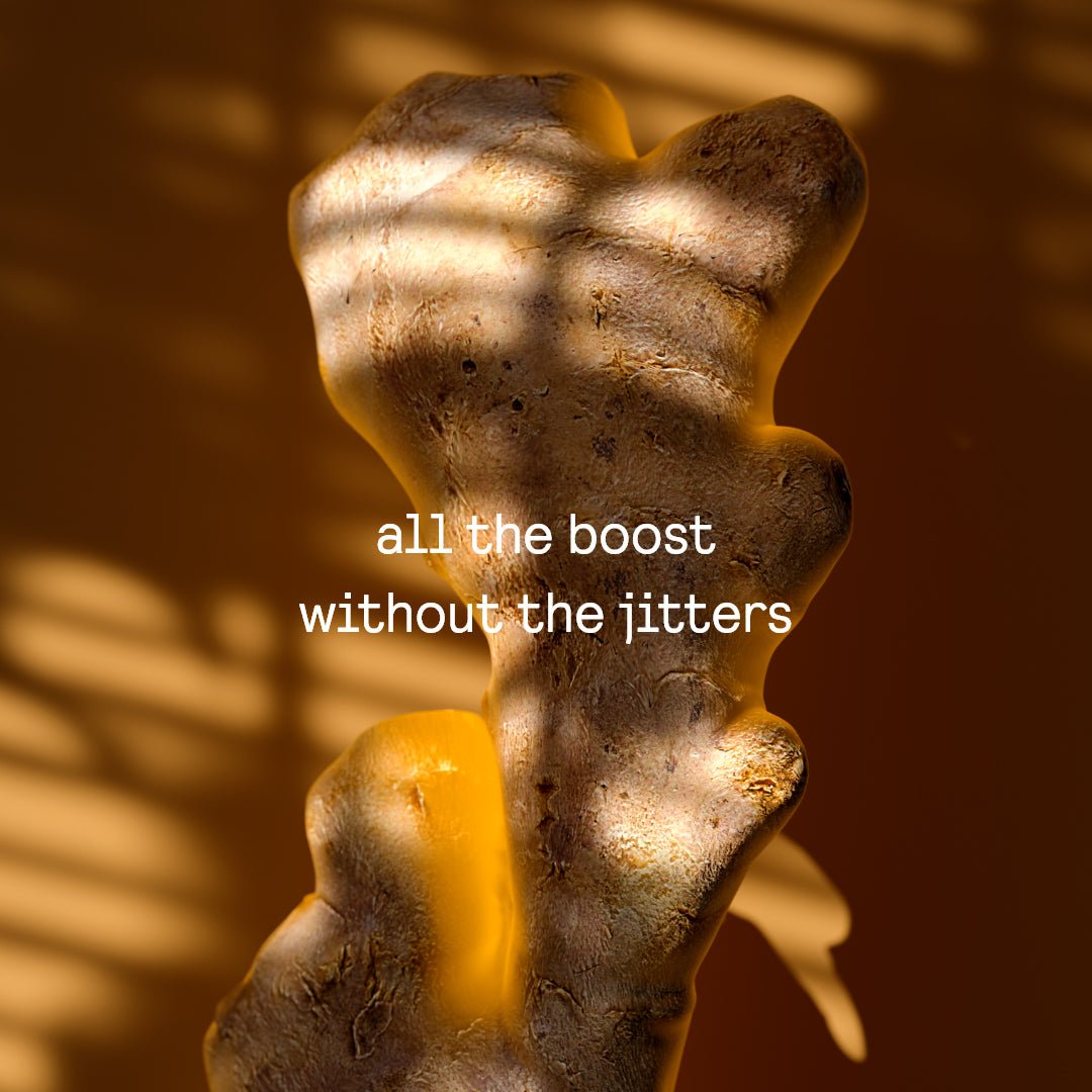 Greek Organic Mountain Tea and Ginger - 19.5g - Symbeeosis - Greek Flavours