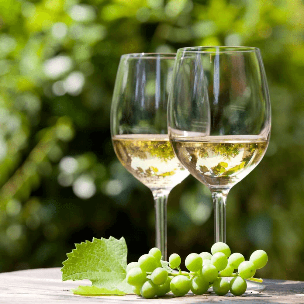 White Malagouzia – 750ml - Greek Flavours