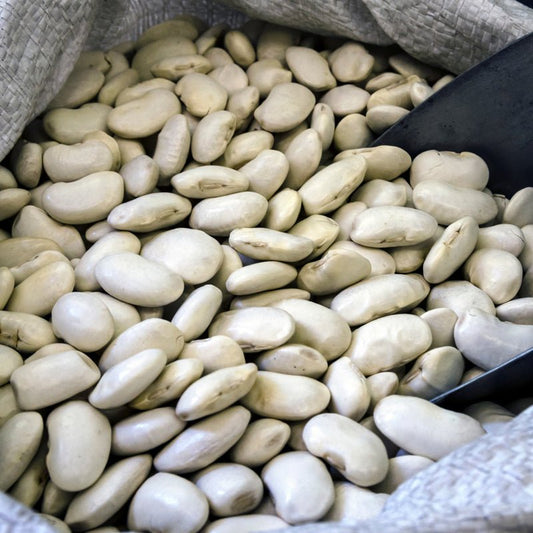 productos-griegos-bio-gigantes-alubias-500g