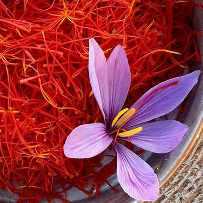Organic saffron in pistils - 1g - Greek Flavours