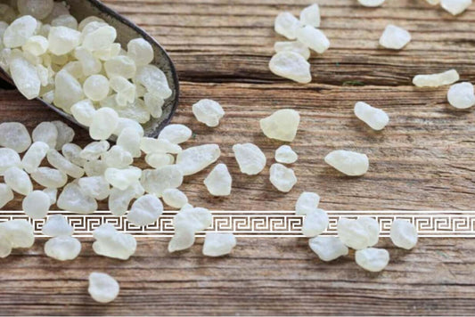 Mastic: the emblematic product of the island of Chios - Greek Flavours