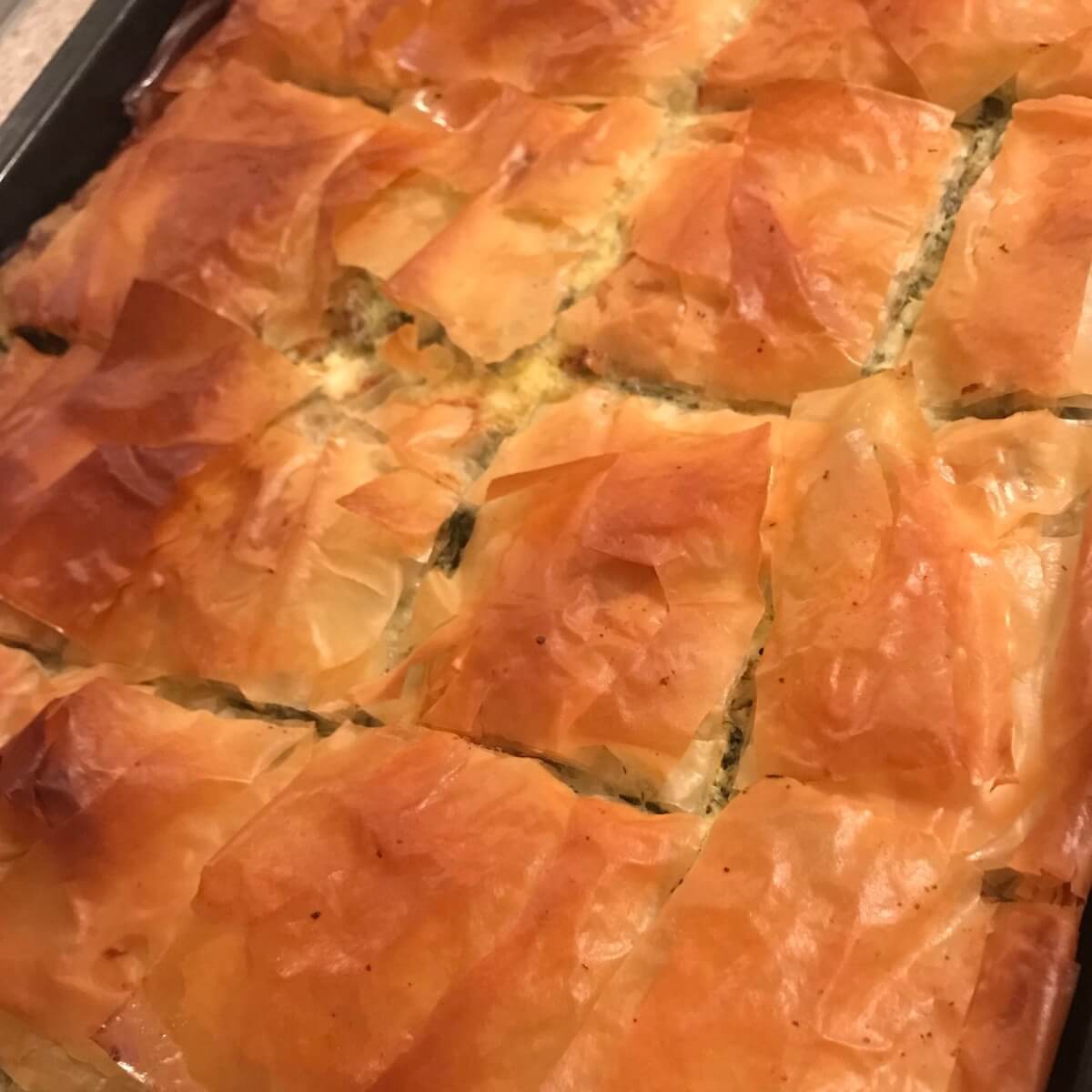 Thick filo pastry for pies - 3x600g