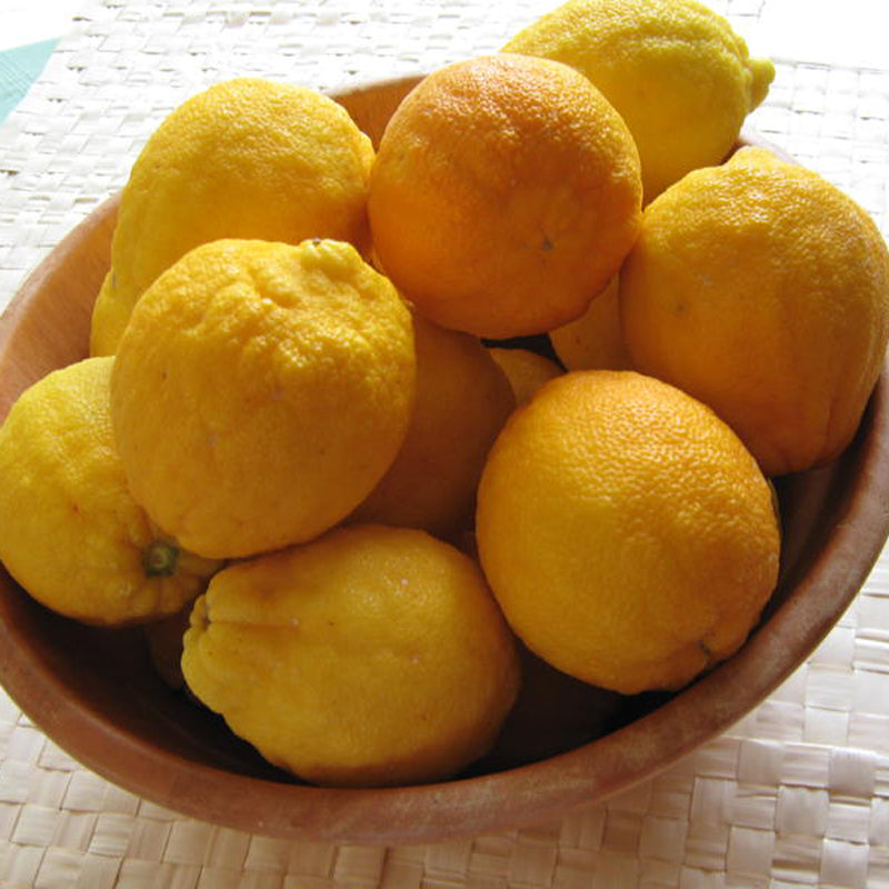 prodotti-greci-bergamotto-1kg-achaia