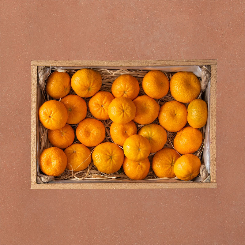 Organic Chios mandarins PGI - 1.5kg