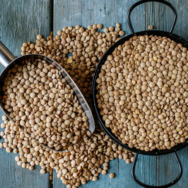 Organic Lentils beans - 500g
