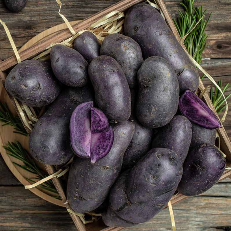 Pommes de terre violettes bio - 1kg