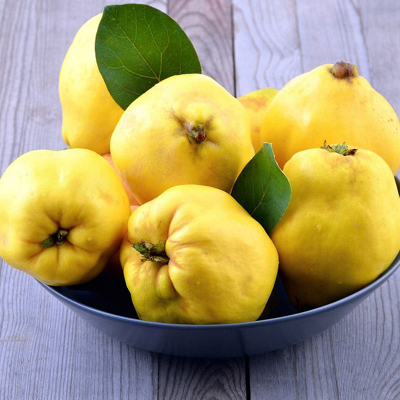 Organic quince from Magnisia - 800g
