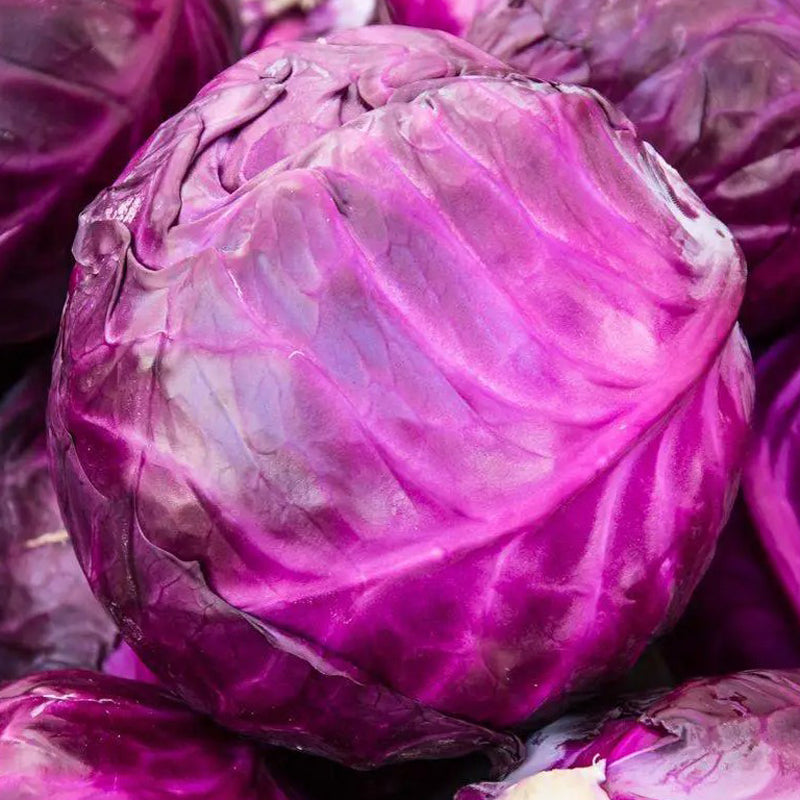 Organic red cabbage - around 800g-1.2kg